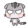 kat7