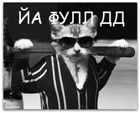 Дампир